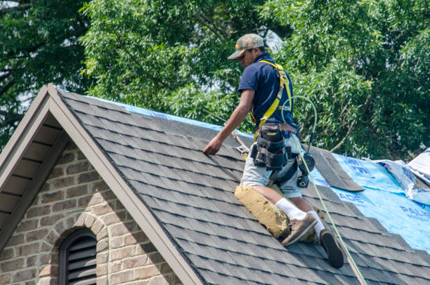 Best Storm Damage Roof Repair  in Abbeville, AL